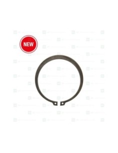 Circlip