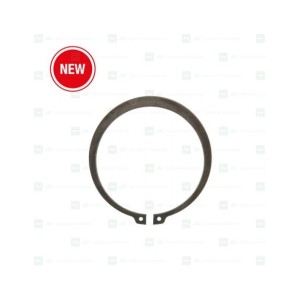 Circlip