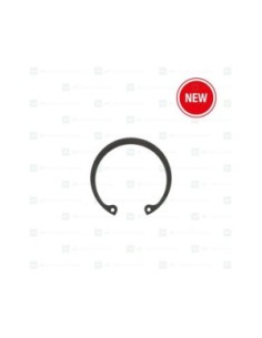 Circlip
