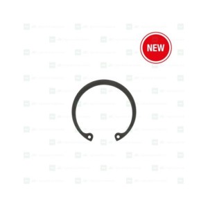 Circlip