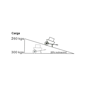 Carretilla de batería FANTON EWD300B