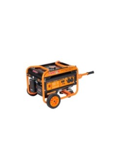 Generador FANTON SRGE4000 2